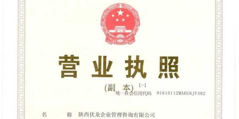 陕西伏龙企业管理咨询 赋能企业，驱动增长